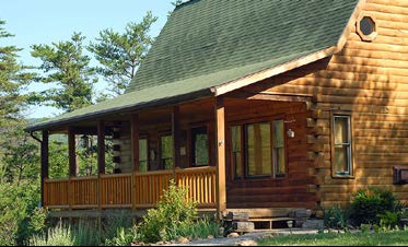 Cabin Lodge 2